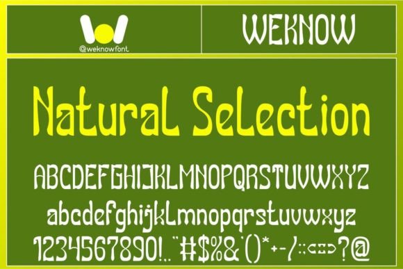 Natural Selection: A Display Font That Brings Editorial Depth